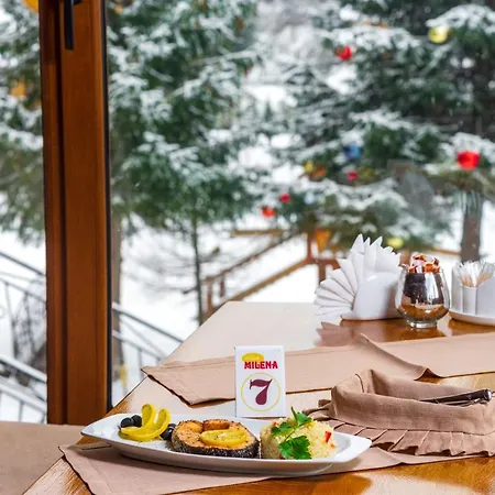 Milena Penzion Bukoveľ